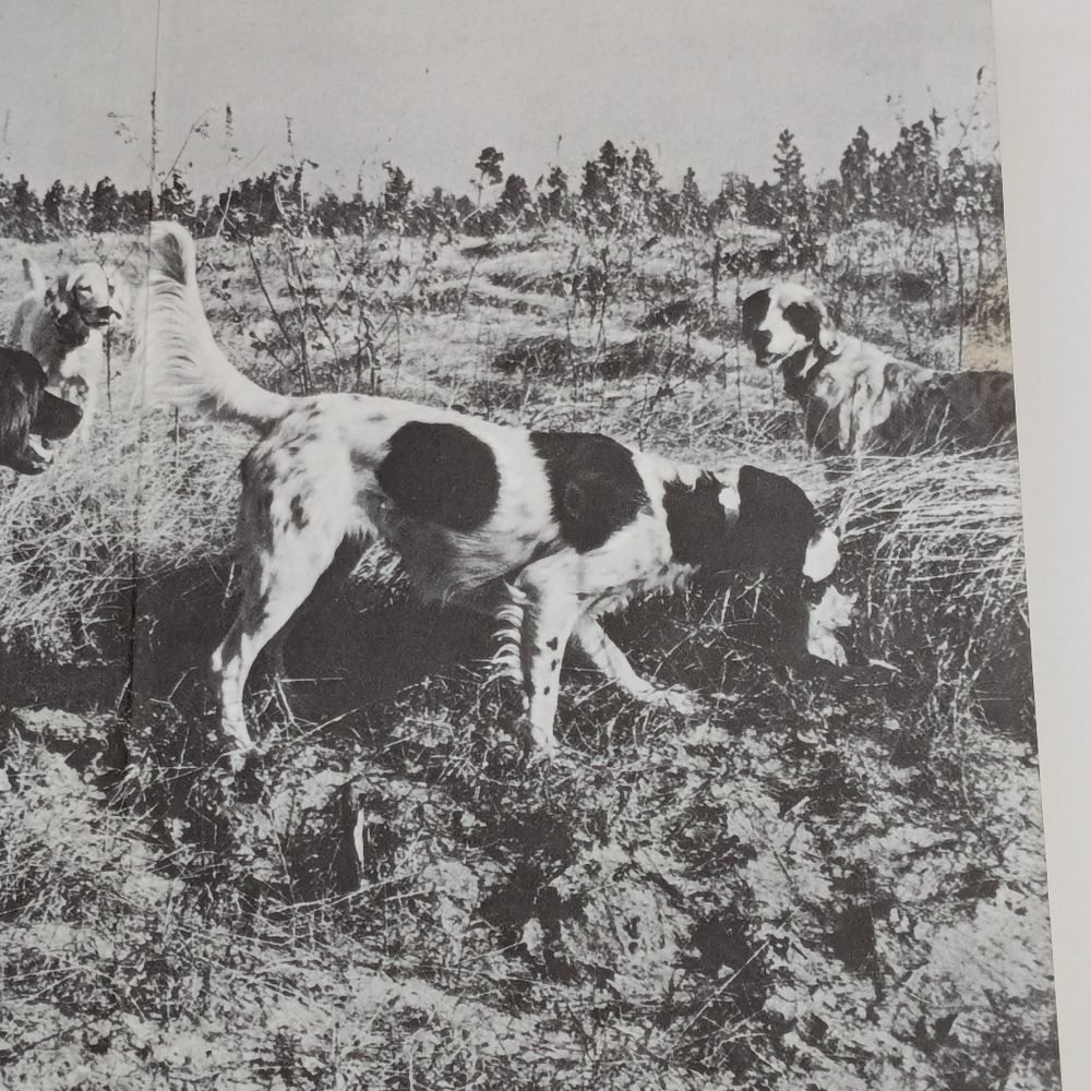 Vintage Set of Hunting Books by Richard A. Wolters - Picture 7 of 10